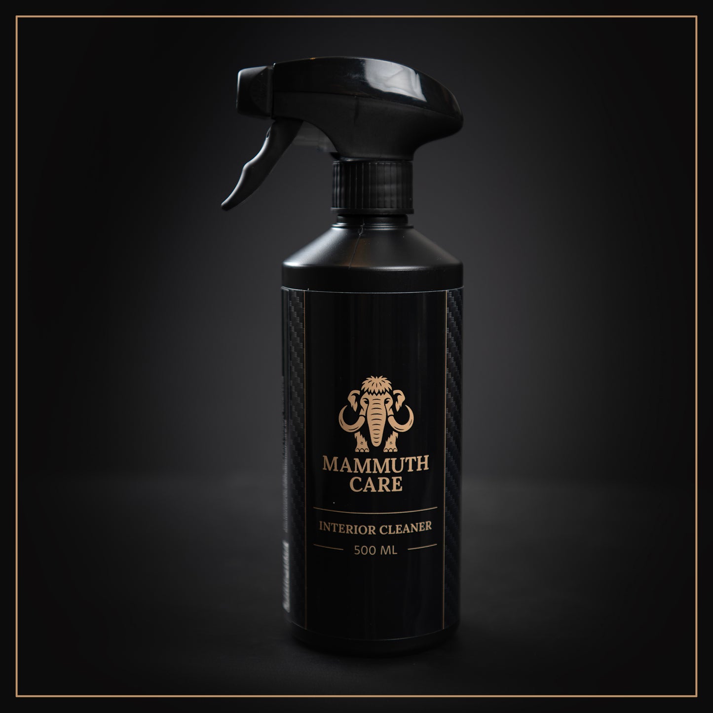 Mammuth interior cleaner