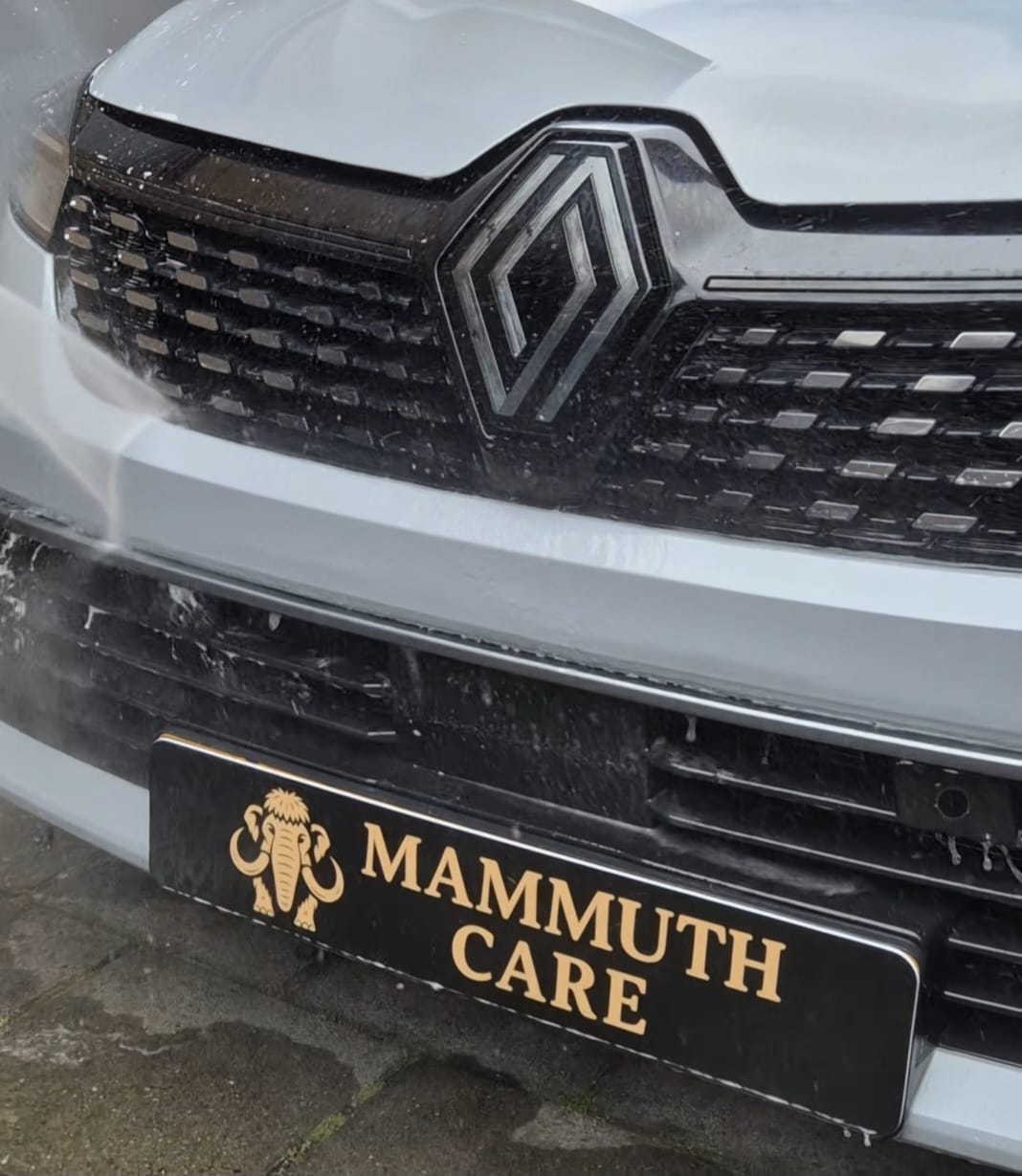 Mammuth bug remover