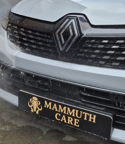 Mammuth bug remover