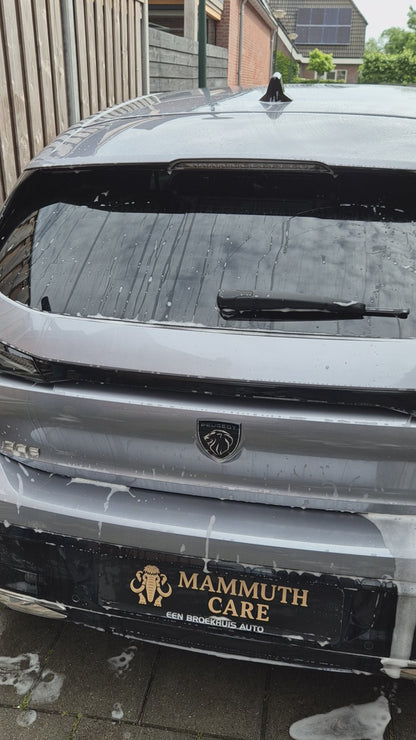 Mammuth wash & wax (NU +1 BUG REMOVER GRATIS)